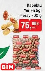 MERAY KABUKLU YER FISTIĞI